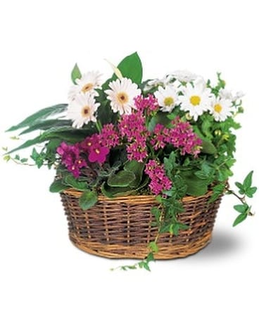 Traditional European Garden Basket Flower Arrangement