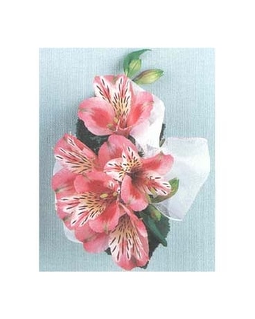 Corsage Corsage