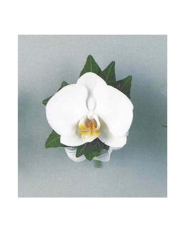 Corsage Corsage