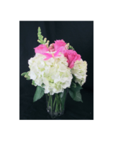 Premium size,  inches height and  inches wide.