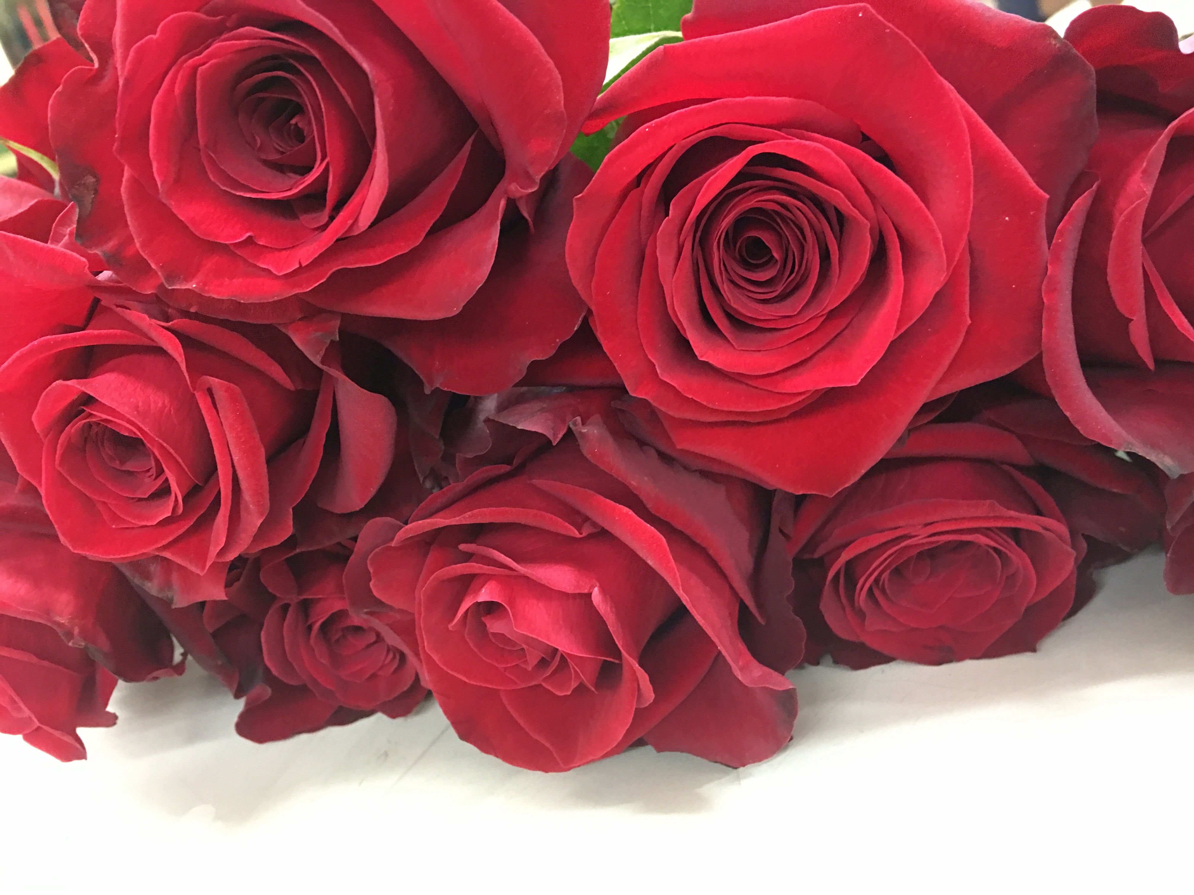 Purcellville Florist Flower Delivery by Purcellville Florist