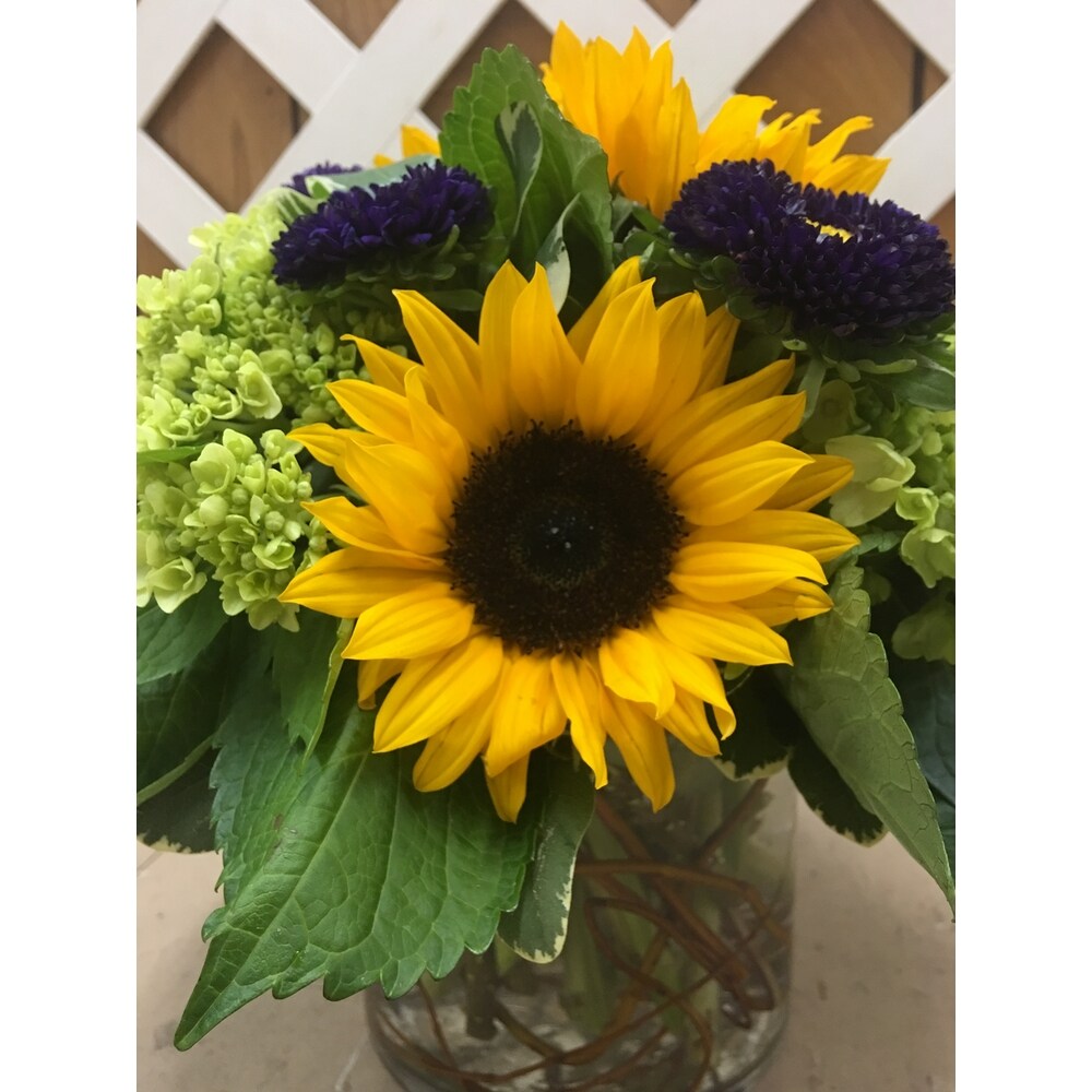 Sunflowers & Hydrangea in Purcellville VA - Purcellville Florist