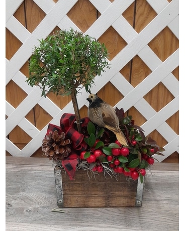Togetherness Garden Plant