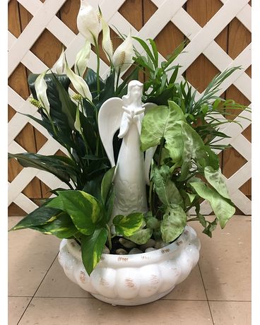 White ceramic dish garden with angel statue Flower Arrangement