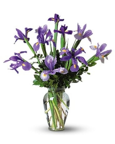 Incredible Iris Flower Arrangement