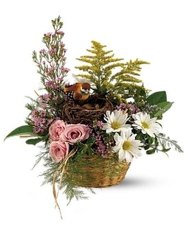 Teleflora's Nesting Basket Flower Arrangement