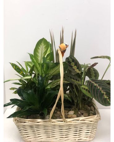 Bountiful Basket Custom product