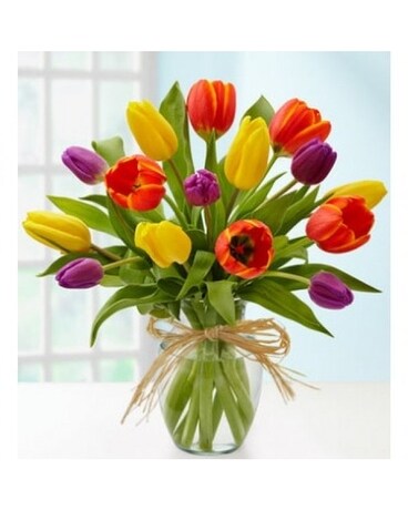 Multi Coloured Tuplips Flower Arrangement