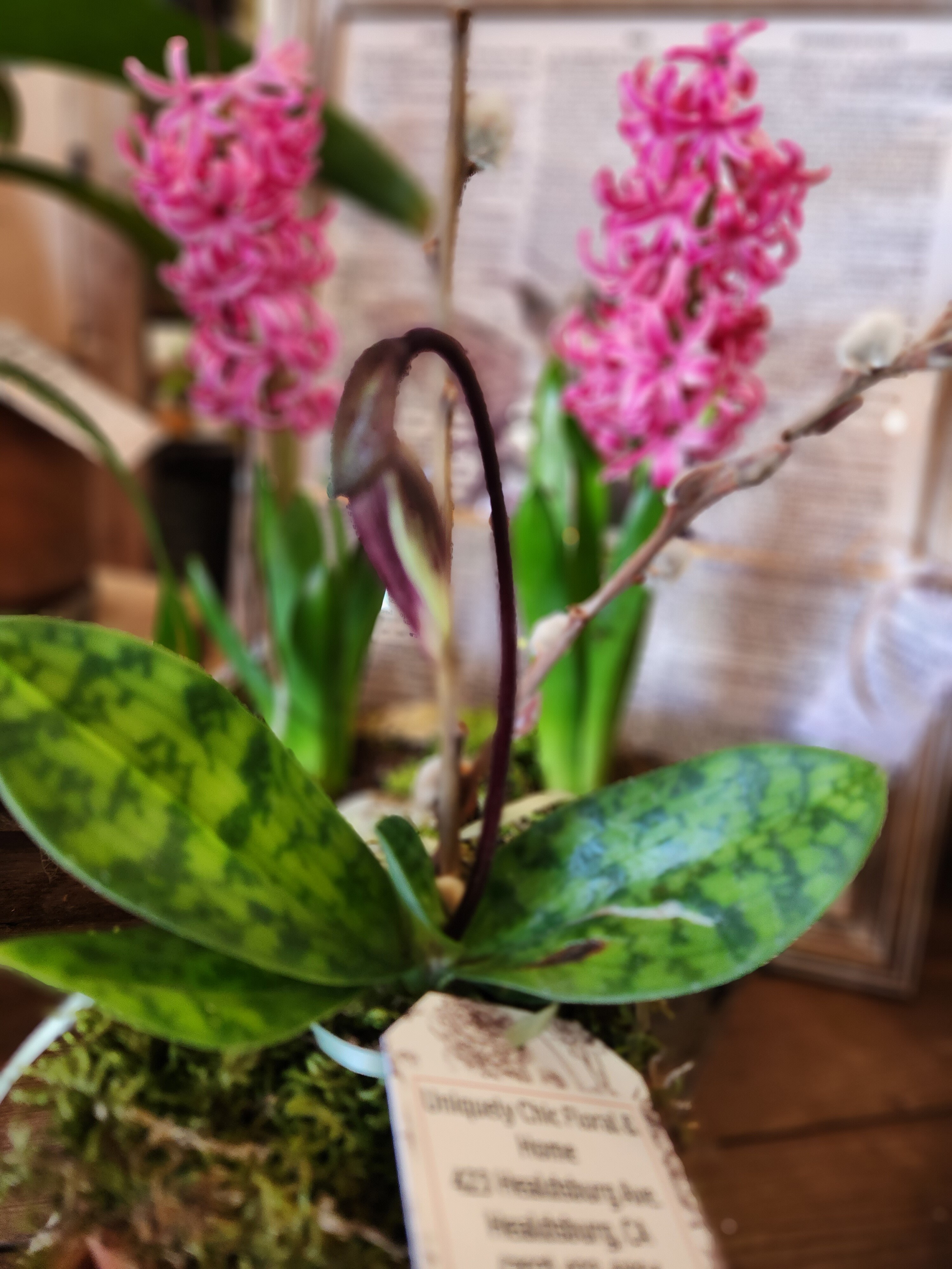 Uniquely Chic Floral & Home