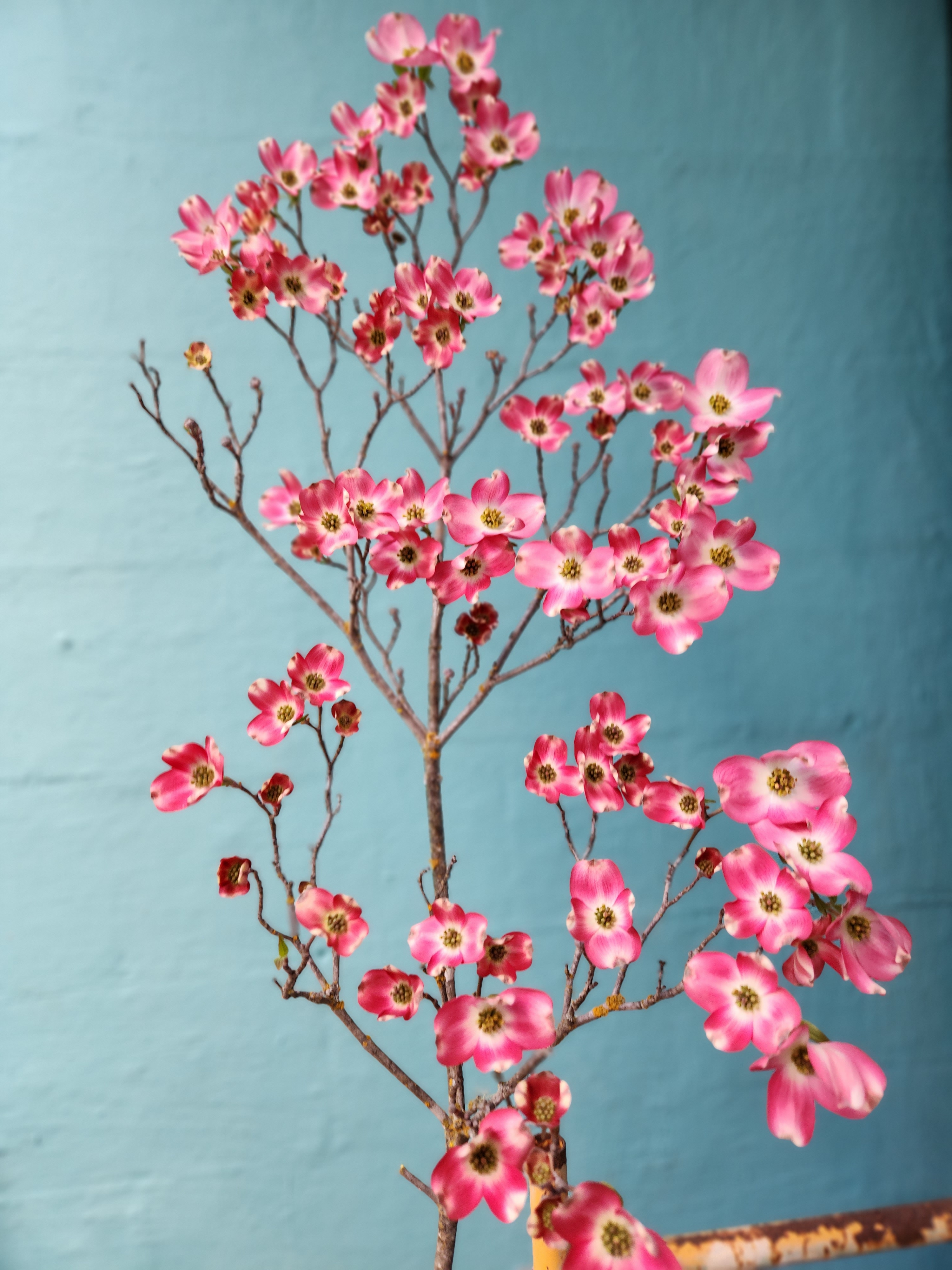 Uniquely Chic Floral & Home
