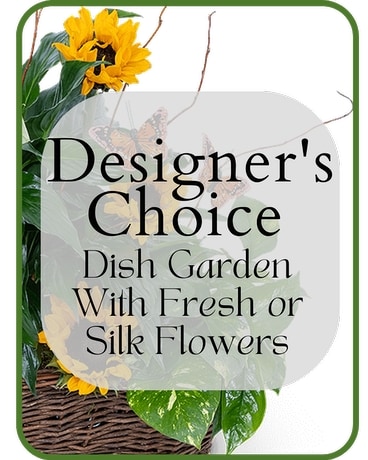 Dish Garden with Fresh or Silk Flowers Plant
