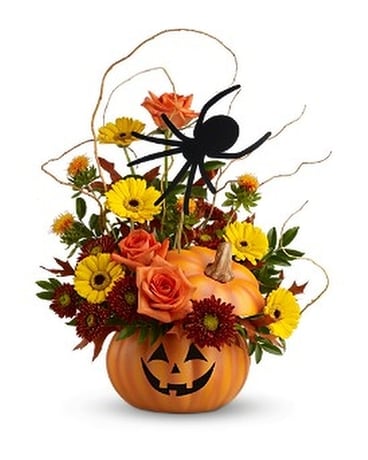 Halloween Flowers Delivery Bloomington Il Becks Family