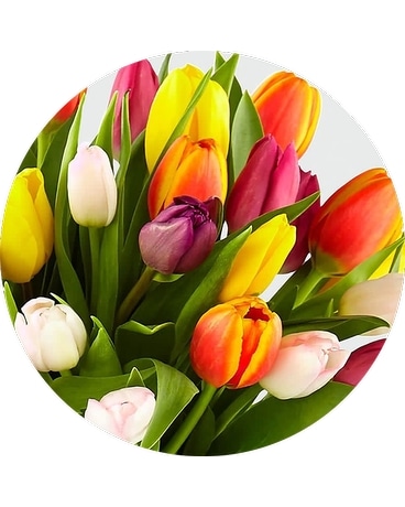 Designer Choice Tulip Bouquet Flower Arrangement
