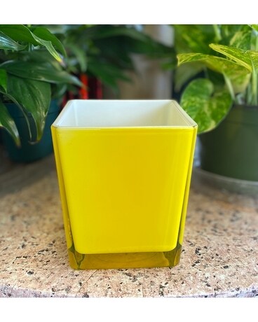 Yellow Splash Flower Arrangement