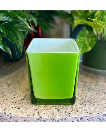 Green Splash Flower Arrangement