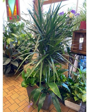 Large Assorted Garden Flower Arrangement