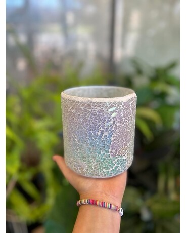 Shine in Style Container Flower Arrangement