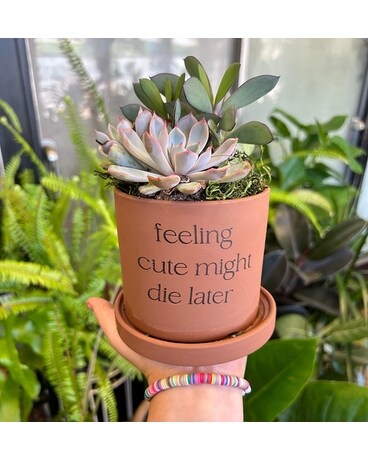 Feeling Cute Might Die Later- 4
