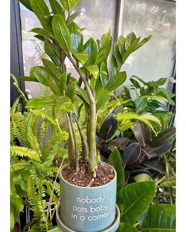 Nobody Pots Baby In a Corner- 6