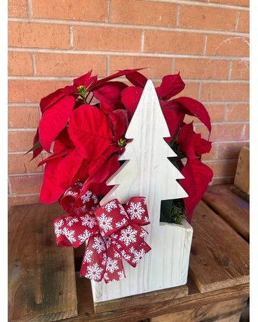 Homemade Wooden Tree: With Poinsettia Plant