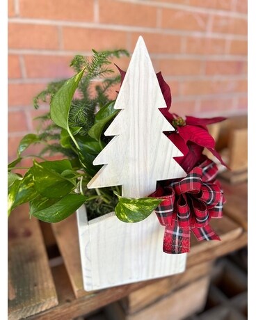 Homemade Wooden Tree: Christmas Plant Mixture Plant