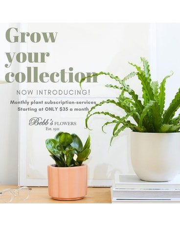 Plant Lover Plant