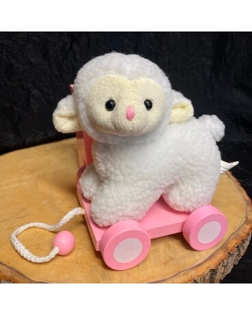 Designer's Choice: Pink Sweet Little Lamb Flower Arrangement