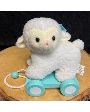 Designer's Choice: Blue Sweet Little Lamb Flower Arrangement