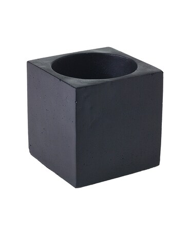 Cole Pot: Black $18.00 Plant