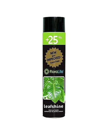 Floralife Leafshine Plant