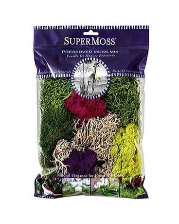 Preserved Moss Mix Plant