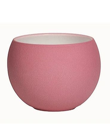 Luna Pot: Pink $4-$22 Plant