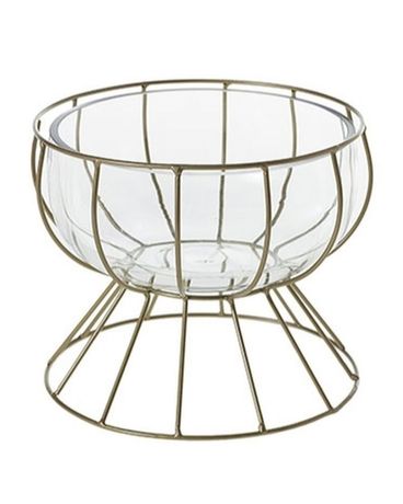 Cage Compote Plant