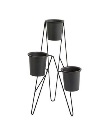 Donahue Plant Stand Plant
