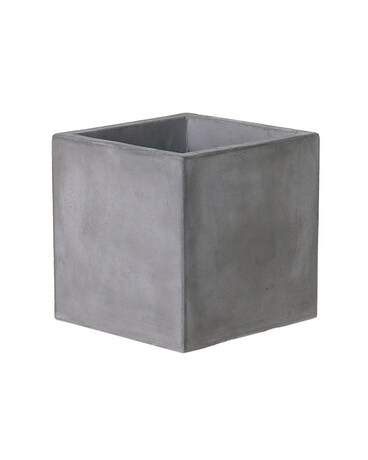Newport Cube Plant
