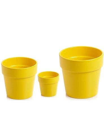 Malibu Pot: Yellow $7-$22 Plant