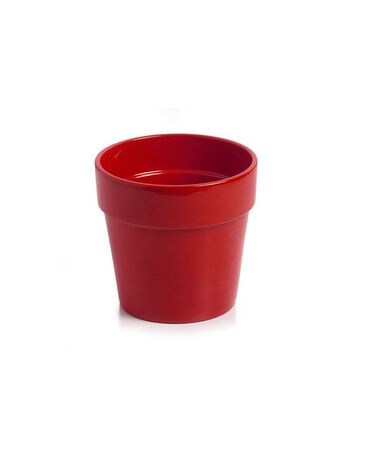 Malibu Pot: Red $7-$22 Plant