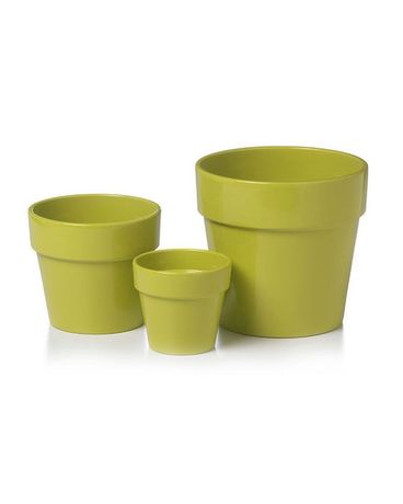 Malibu Pot: Yellow/Green $7-$22 Plant