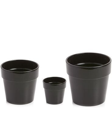 Malibu Pot: Black $7-$22 Plant