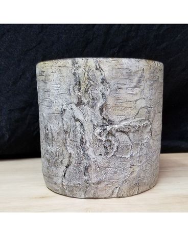 Faux Birch Pot $14.00 Plant