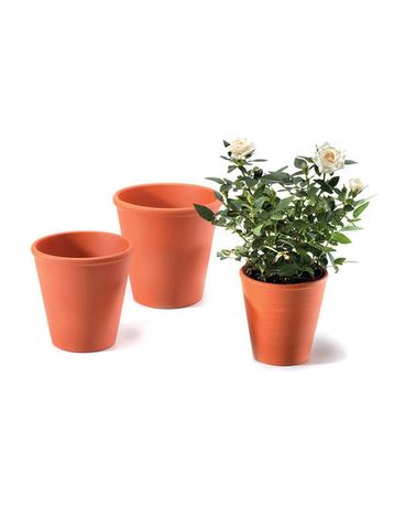 Clay Pot $2.00 Plant