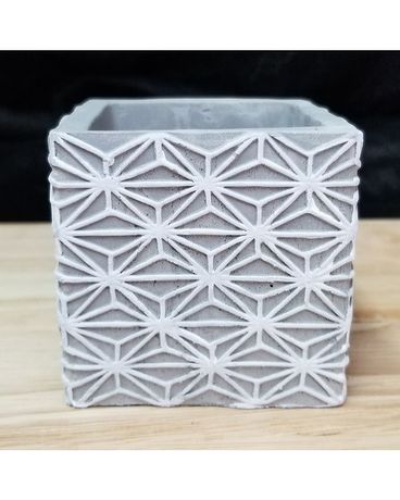 Concrete Square Pot $10.00 Plant