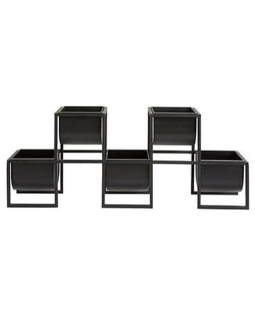 Nyx Plant Stand Plant