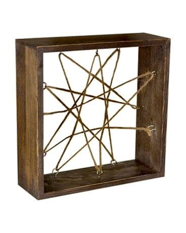 Air Plant Frame Plant