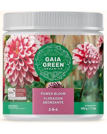 Gaia Power Bloom 2-8-4 $14.00 Plant