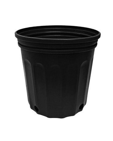 8” Growers Pot $2.00 Plant