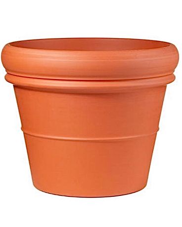 Double Rim Pot Plant