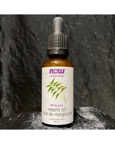 100% Pure Neem Oil Plant