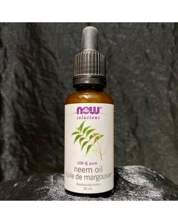 100% Pure Neem Oil Plant