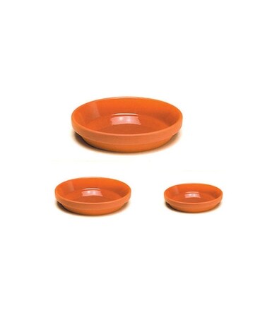Glazed Saucer: 4.5” $2.40 Plant